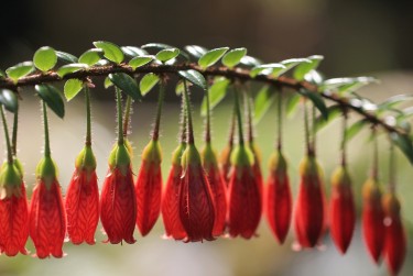 南京玄武区零用贷短借：轻松解决临时资金需求